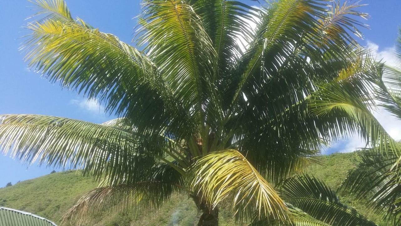 Location " La Pirogue " Maison D'Hotes A Moorea Haapiti Kültér fotó