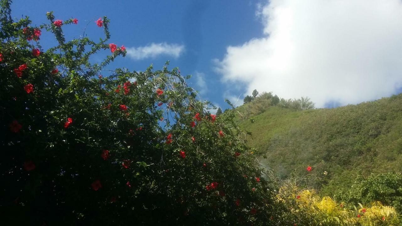 Location " La Pirogue " Maison D'Hotes A Moorea Haapiti Kültér fotó